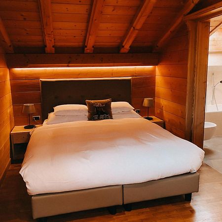 Mountain Chalet Pra Ronch 塞尔瓦迪加尔代纳山谷 外观 照片