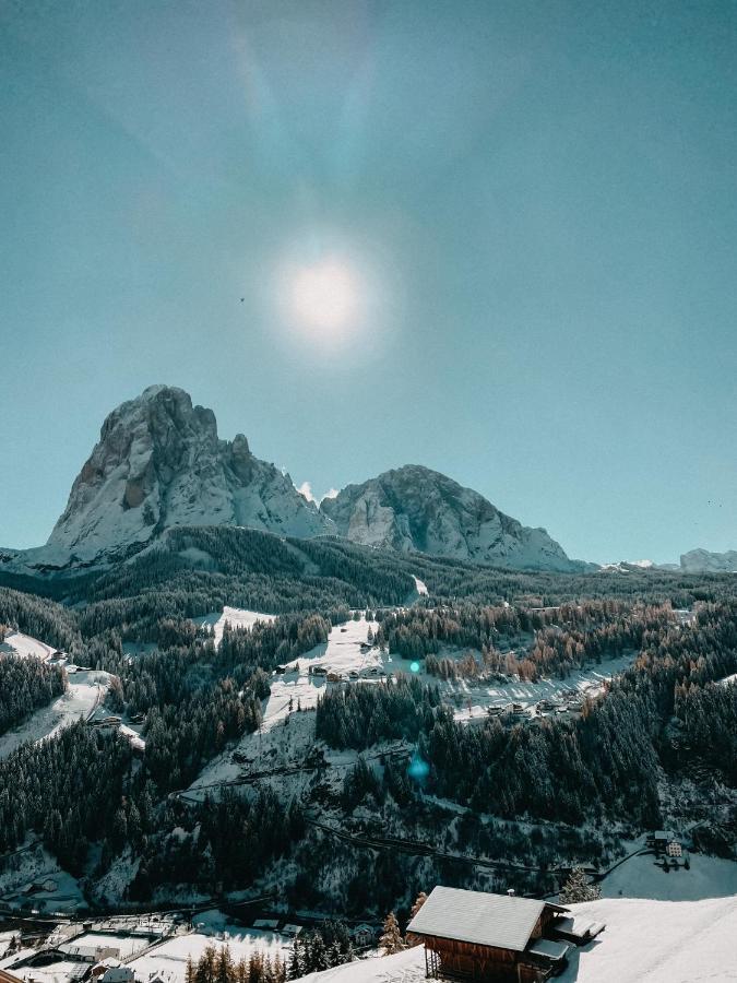 Mountain Chalet Pra Ronch 塞尔瓦迪加尔代纳山谷 外观 照片