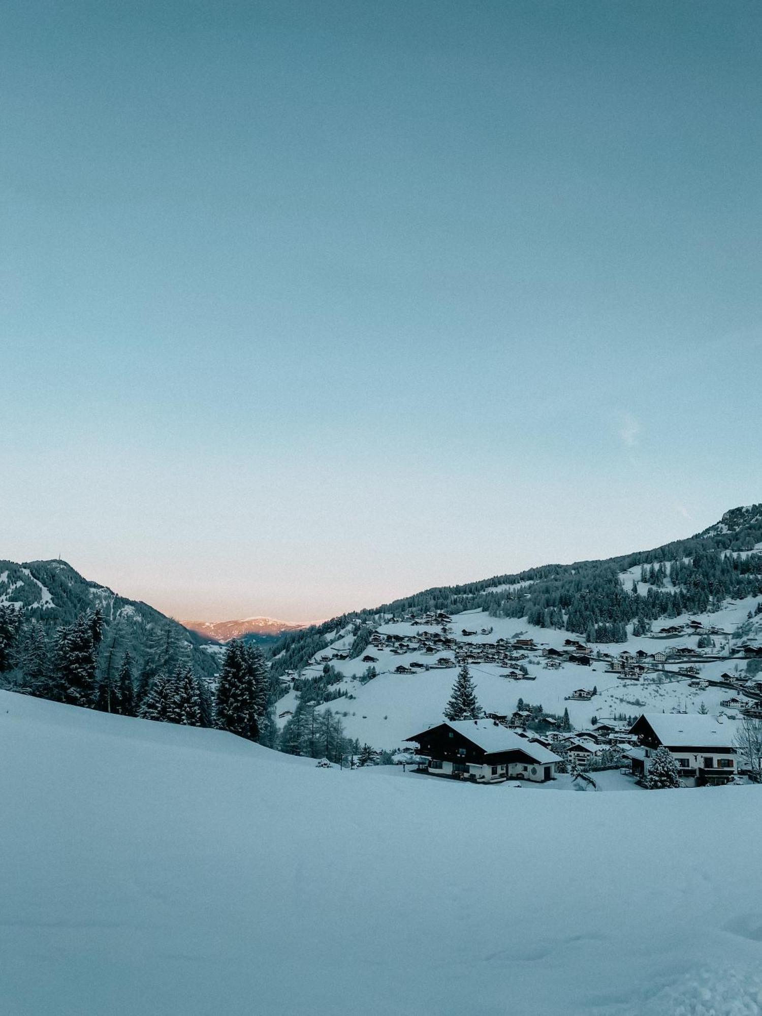Mountain Chalet Pra Ronch 塞尔瓦迪加尔代纳山谷 外观 照片